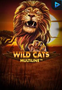 Bocoran RTP Wild Cat Multiline di RTP PIN4D