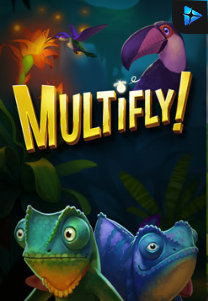 Bocoran RTP Multifly di RTP PIN4D